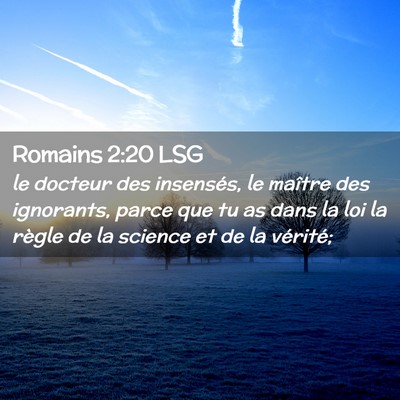Picture 02 - Romains 2:20 LSG - le docteur des insensés, le maître des - Bible Verse Picture