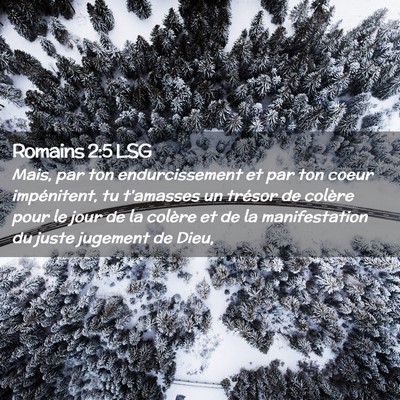 Picture 02 - Romains 2:5 LSG - Mais, par ton endurcissement et par ton coeur - Bible Verse Picture