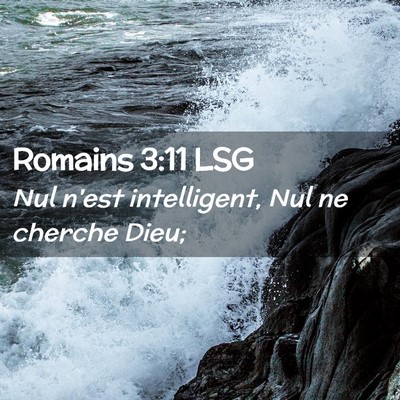 Picture 02 - Romains 3:11 LSG - Nul n'est intelligent, Nul ne cherche - Bible Verse Picture