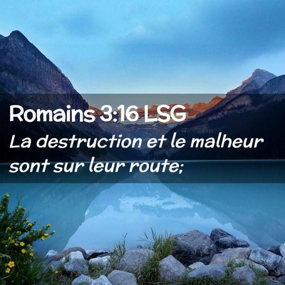 Picture 02 - Romains 3:16 LSG - La destruction et le malheur sont sur leur - Bible Verse Picture