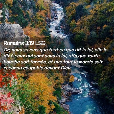 Picture 02 - Romains 3:19 LSG - Or, nous savons que tout ce que dit la loi, elle - Bible Verse Picture