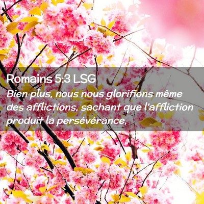 Picture 02 - Romains 5:3 LSG - Bien plus, nous nous glorifions même des - Bible Verse Picture