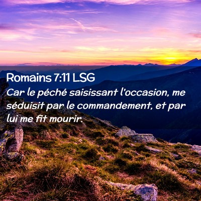 Picture 02 - Romains 7:11 LSG - Car le péché saisissant l'occasion, me - Bible Verse Picture