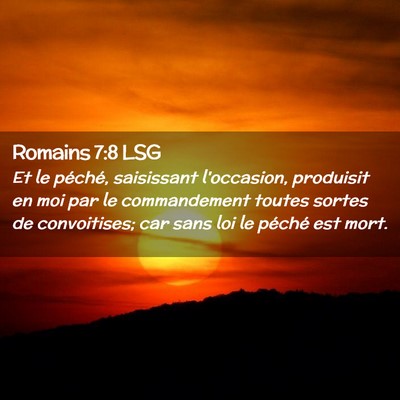 Picture 02 - Romains 7:8 LSG - Et le péché, saisissant l'occasion, produisit - Bible Verse Picture
