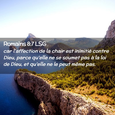 Picture 02 - Romains 8:7 LSG - car l'affection de la chair est inimitié contre - Bible Verse Picture