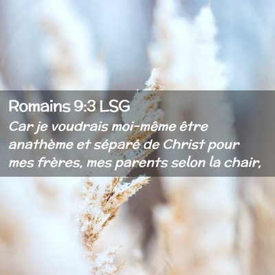 Picture 02 - Romains 9:3 LSG - Car je voudrais moi-même être anathème et - Bible Verse Picture