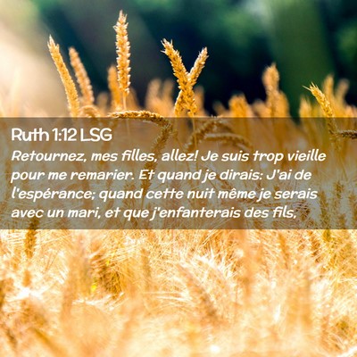 Picture 02 - Ruth 1:12 LSG - Retournez, mes filles, allez! Je suis trop - Bible Verse Picture