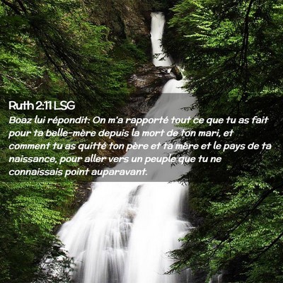 Picture 02 - Ruth 2:11 LSG - Boaz lui répondit: On m'a rapporté tout ce que - Bible Verse Picture