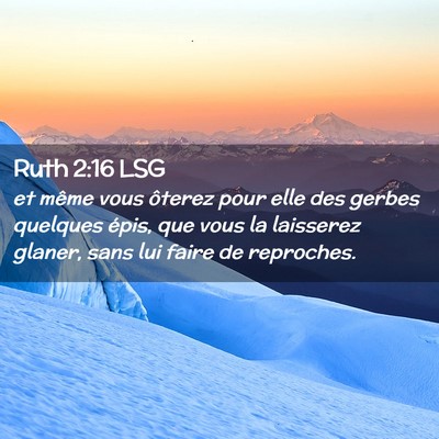Picture 02 - Ruth 2:16 LSG - et même vous ôterez pour elle des gerbes - Bible Verse Picture