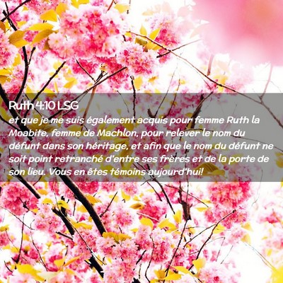 Picture 02 - Ruth 4:10 LSG - et que je me suis également acquis pour femme - Bible Verse Picture