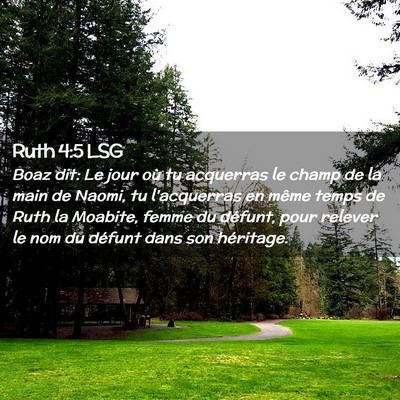 Picture 02 - Ruth 4:5 LSG - Boaz dit: Le jour où tu acquerras le champ de la - Bible Verse Picture