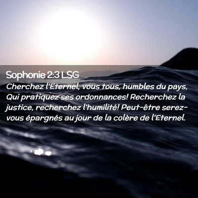 Picture 02 - Sophonie 2:3 LSG - Cherchez l'Eternel, vous tous, humbles du pays, - Bible Verse Picture