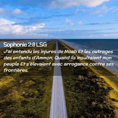 Picture 02 - Sophonie 2:8 LSG - J'ai entendu les injures de Moab Et les outrages - Bible Verse Picture
