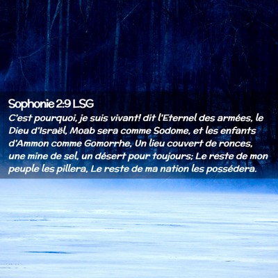 Picture 02 - Sophonie 2:9 LSG - C'est pourquoi, je suis vivant! dit l'Eternel des - Bible Verse Picture
