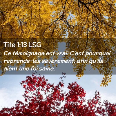 Picture 02 - Tite 1:13 LSG - Ce témoignage est vrai. C'est pourquoi - Bible Verse Picture