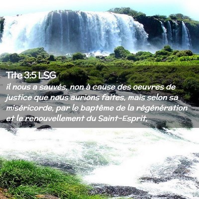 Picture 02 - Tite 3:5 LSG - il nous a sauvés, non à cause des oeuvres de - Bible Verse Picture