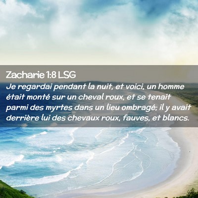 Picture 02 - Zacharie 1:8 LSG - Je regardai pendant la nuit, et voici, un homme - Bible Verse Picture