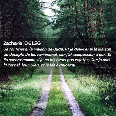 Picture 02 - Zacharie 10:6 LSG - Je fortifierai la maison de Juda, Et je - Bible Verse Picture