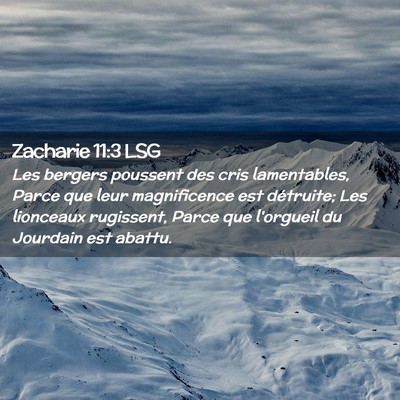 Picture 02 - Zacharie 11:3 LSG - Les bergers poussent des cris lamentables, Parce - Bible Verse Picture