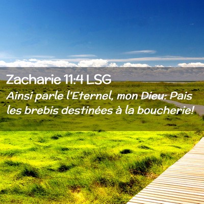 Picture 02 - Zacharie 11:4 LSG - Ainsi parle l'Eternel, mon Dieu: Pais les brebis - Bible Verse Picture