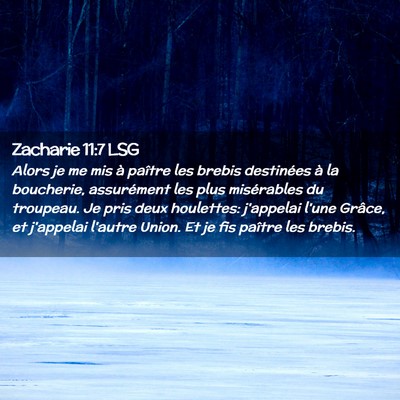 Picture 02 - Zacharie 11:7 LSG - Alors je me mis à paître les brebis destinées - Bible Verse Picture