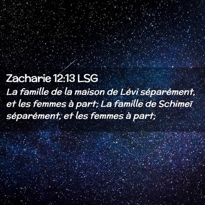 Picture 02 - Zacharie 12:13 LSG - La famille de la maison de Lévi séparément, et - Bible Verse Picture