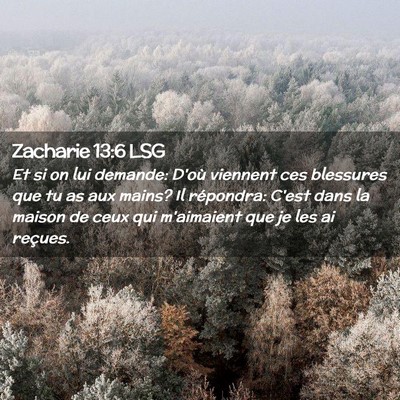 Picture 02 - Zacharie 13:6 LSG - Et si on lui demande: D'où viennent ces - Bible Verse Picture