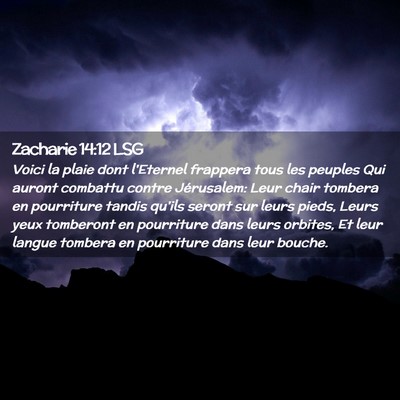 Picture 02 - Zacharie 14:12 LSG - Voici la plaie dont l'Eternel frappera tous les - Bible Verse Picture