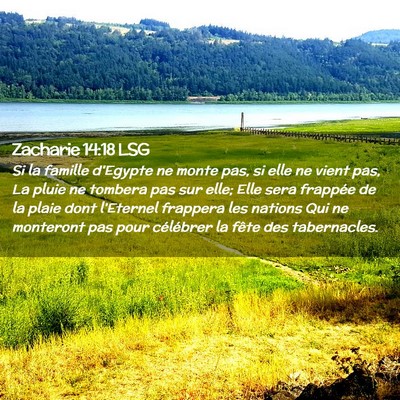 Picture 02 - Zacharie 14:18 LSG - Si la famille d'Egypte ne monte pas, si elle ne - Bible Verse Picture