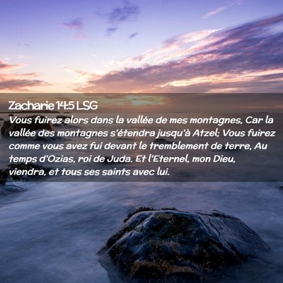 Picture 02 - Zacharie 14:5 LSG - Vous fuirez alors dans la vallée de mes - Bible Verse Picture