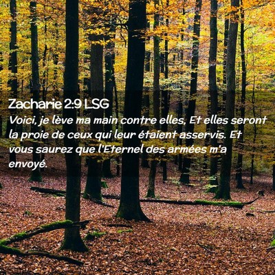Picture 02 - Zacharie 2:9 LSG - Voici, je lève ma main contre elles, Et elles - Bible Verse Picture
