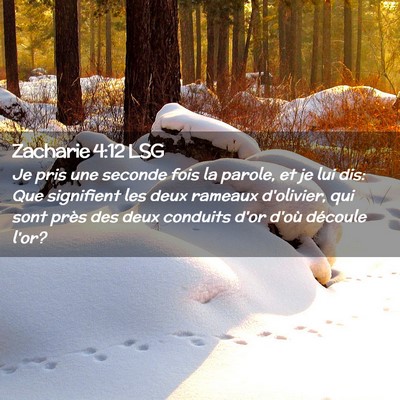 Picture 02 - Zacharie 4:12 LSG - Je pris une seconde fois la parole, et je lui - Bible Verse Picture