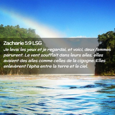 Picture 02 - Zacharie 5:9 LSG - Je levai les yeux et je regardai, et voici, deux - Bible Verse Picture