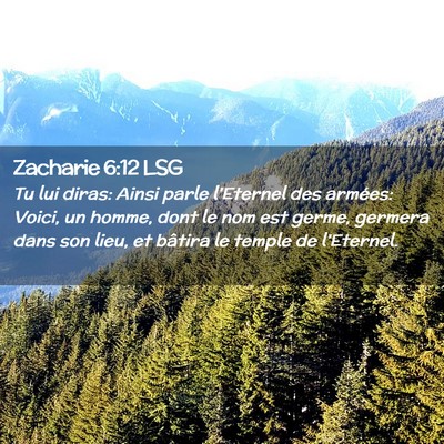 Picture 02 - Zacharie 6:12 LSG - Tu lui diras: Ainsi parle l'Eternel des armées: - Bible Verse Picture