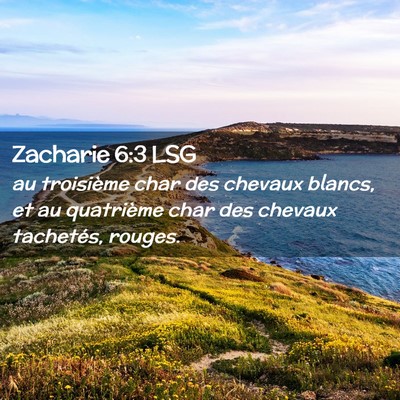 Picture 02 - Zacharie 6:3 LSG - au troisième char des chevaux blancs, et au - Bible Verse Picture
