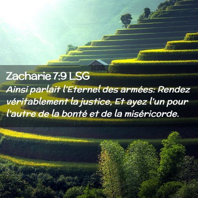 Picture 02 - Zacharie 7:9 LSG - Ainsi parlait l'Eternel des armées: Rendez - Bible Verse Picture