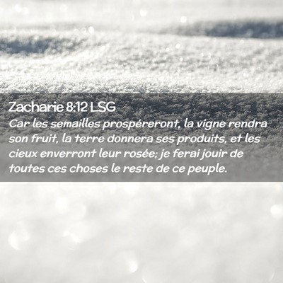 Picture 02 - Zacharie 8:12 LSG - Car les semailles prospéreront, la vigne rendra - Bible Verse Picture