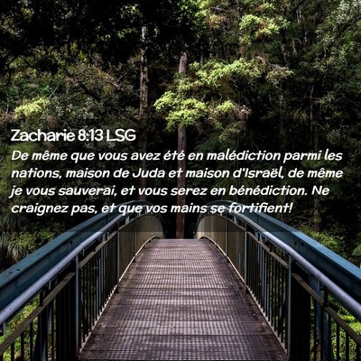 Picture 02 - Zacharie 8:13 LSG - De même que vous avez été en malédiction - Bible Verse Picture