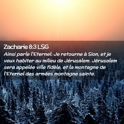 Picture 02 - Zacharie 8:3 LSG - Ainsi parle l'Eternel: Je retourne à Sion, et je - Bible Verse Picture