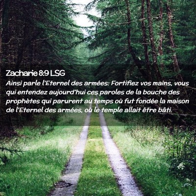 Picture 02 - Zacharie 8:9 LSG - Ainsi parle l'Eternel des armées: Fortifiez vos - Bible Verse Picture