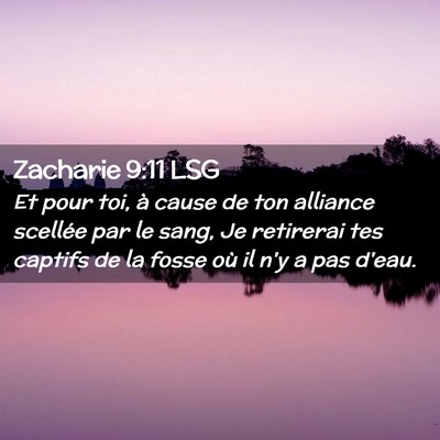 Picture 02 - Zacharie 9:11 LSG - Et pour toi, à cause de ton alliance scellée - Bible Verse Picture