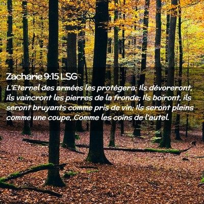 Picture 02 - Zacharie 9:15 LSG - L'Eternel des armées les protégera; Ils - Bible Verse Picture