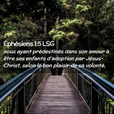 Picture 02 - Éphésiens 1:5 LSG - nous ayant prédestinés dans son amour à être - Bible Verse Picture