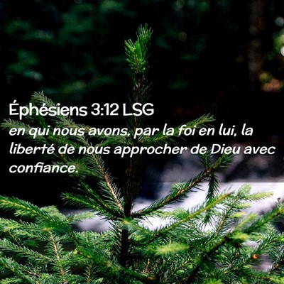 Picture 02 - Éphésiens 3:12 LSG - en qui nous avons, par la foi en lui, la liberté - Bible Verse Picture