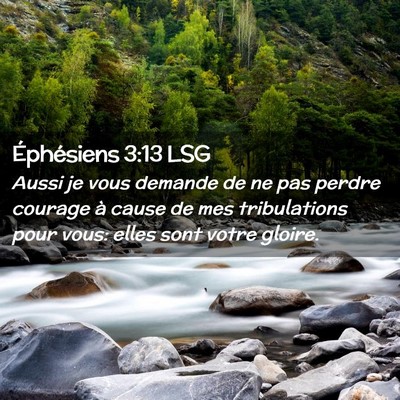 Picture 02 - Éphésiens 3:13 LSG - Aussi je vous demande de ne pas perdre courage à - Bible Verse Picture