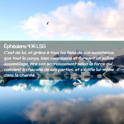 Picture 02 - Éphésiens 4:16 LSG - C'est de lui, et grâce à tous les liens de son - Bible Verse Picture