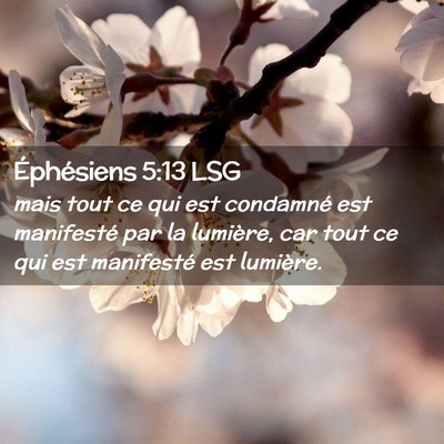 Picture 02 - Éphésiens 5:13 LSG - mais tout ce qui est condamné est manifesté par - Bible Verse Picture