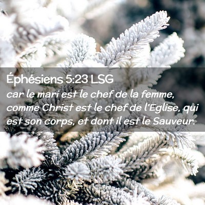 Picture 02 - Éphésiens 5:23 LSG - car le mari est le chef de la femme, comme Christ - Bible Verse Picture