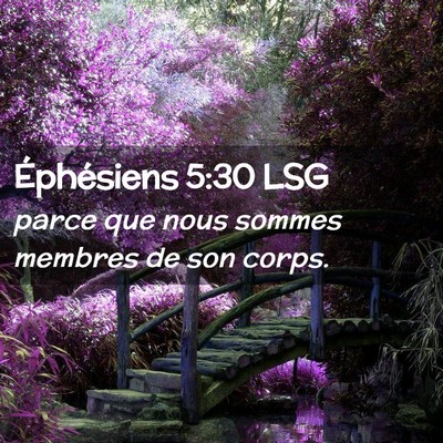 Picture 02 - Éphésiens 5:30 LSG - parce que nous sommes membres de son - Bible Verse Picture