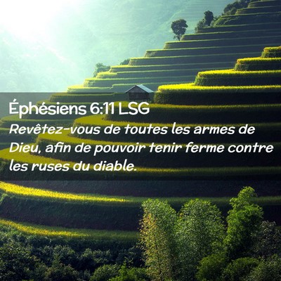 Picture 02 - Éphésiens 6:11 LSG - Revêtez-vous de toutes les armes de Dieu, afin - Bible Verse Picture
